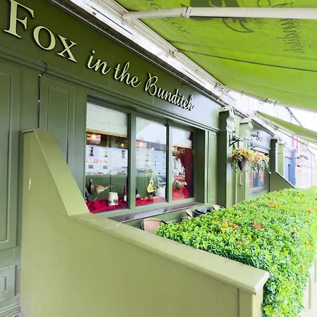The At The Fox